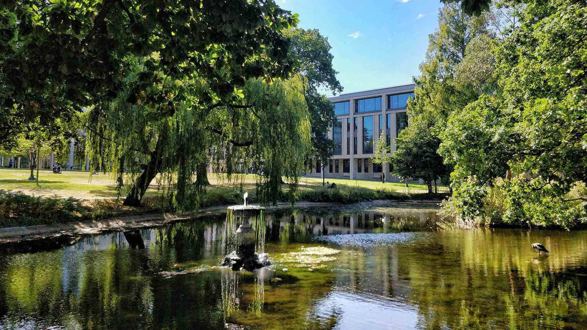 Cover image of University of Roehampton